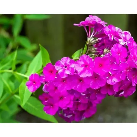 Waterkant Comfortable * نوردين