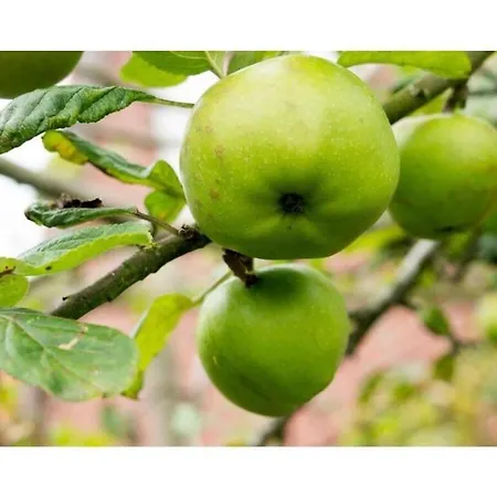 Waterkant Comfortable بيت للعطل *