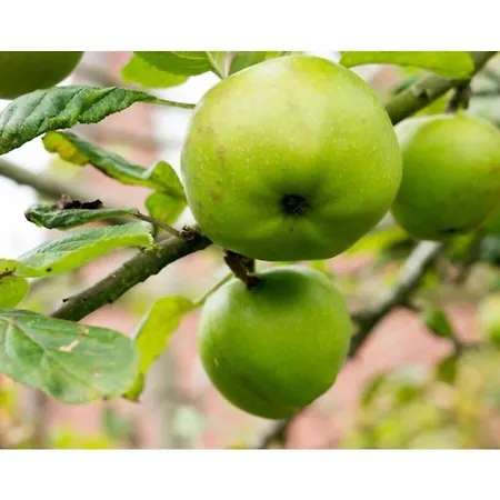 Waterkant Comfortable بيت للعطل