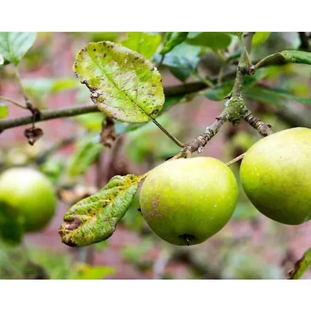 Waterkant Comfortable بيت للعطل نوردين