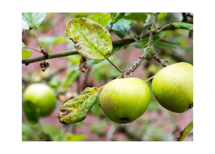 Waterkant Comfortable 度假居 诺登